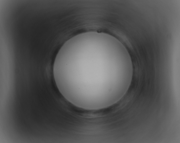 X0000101440498200807071030