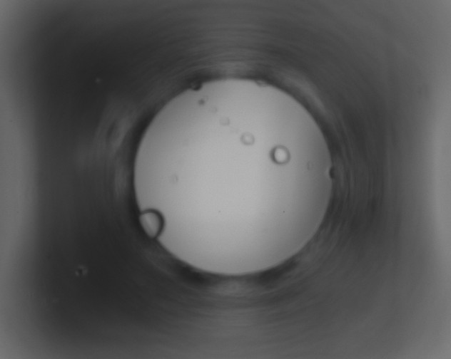 X0000101440499200807071030