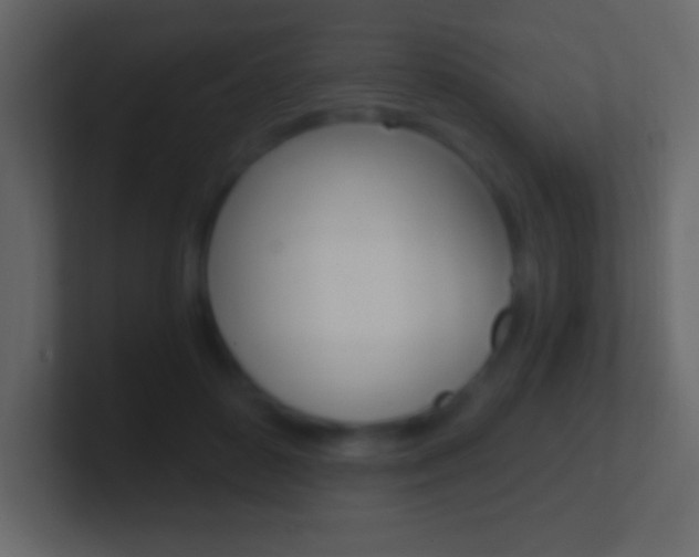 X0000101440504200807071030