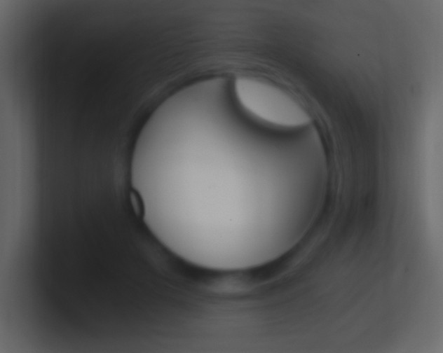 X0000101440505200807071030