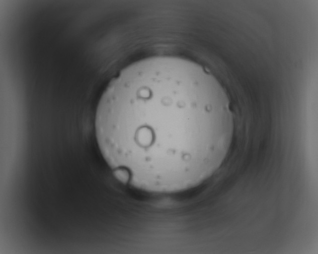 X0000101440507200807071030