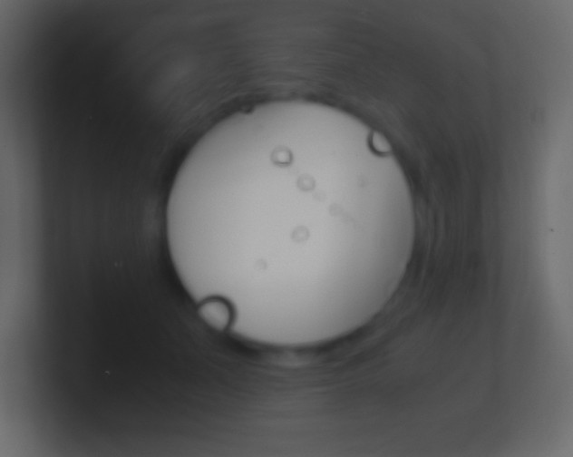 X0000101440511200807071030