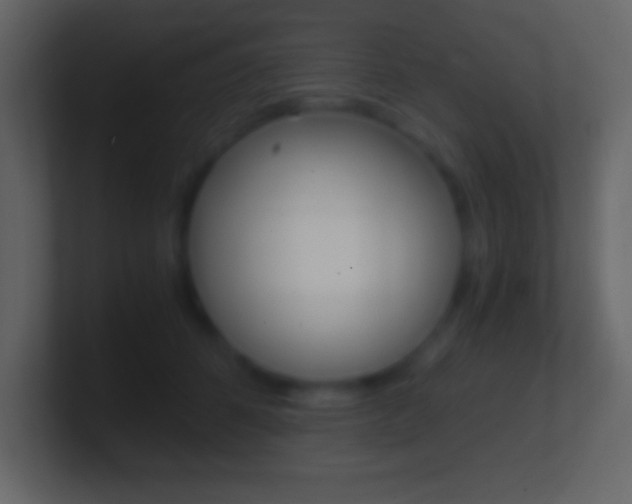 X0000101440512200807071030