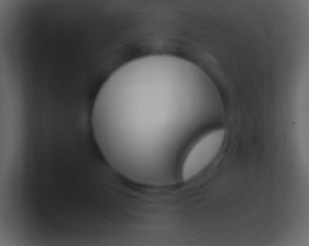 X0000101440515200807071029