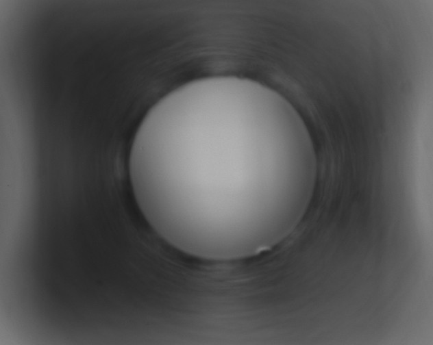 X0000101440516200807071029