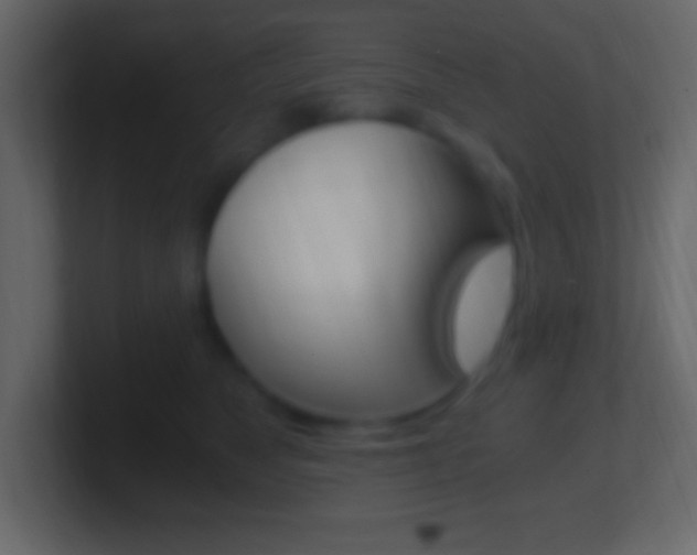 X0000101440517200807071029