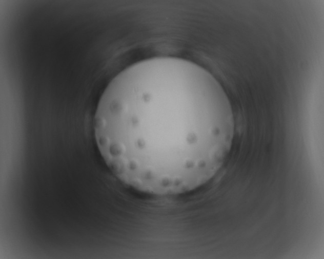 X0000101440519200807071029