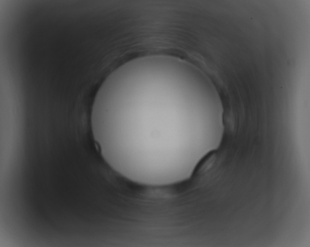 X0000101440520200807071029