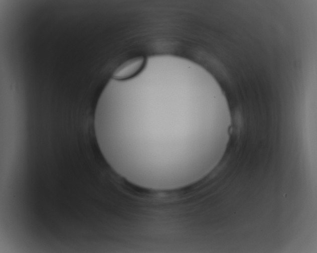 X0000101440522200807071029