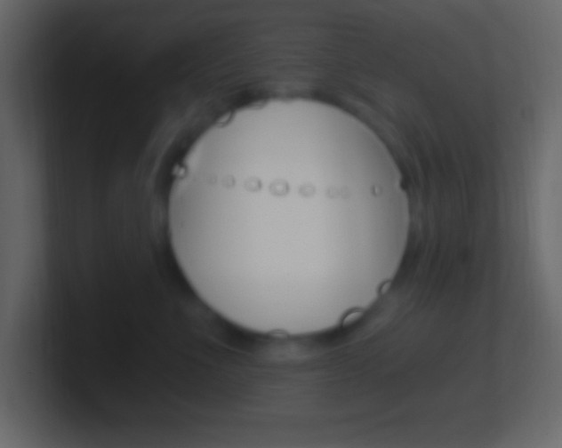 X0000101440523200807071029
