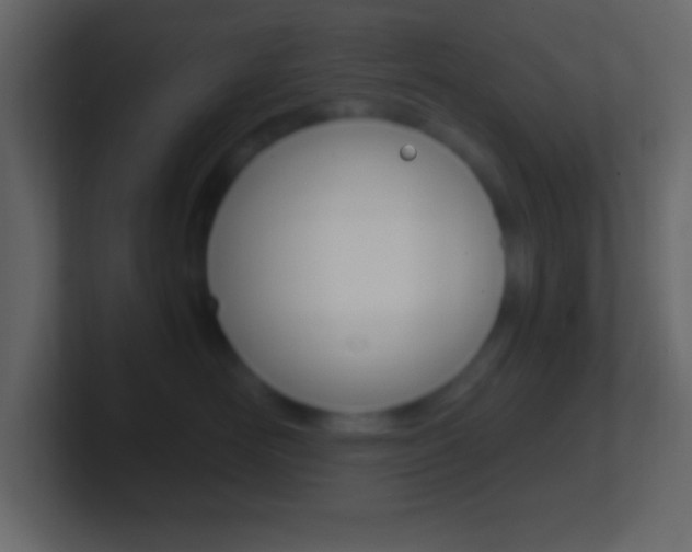 X0000101440526200807071029