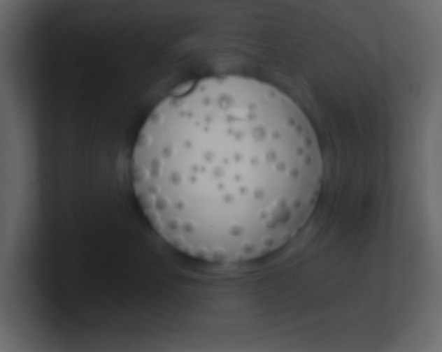 X0000101440527200807071029