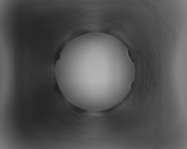 X0000101440528200807071029