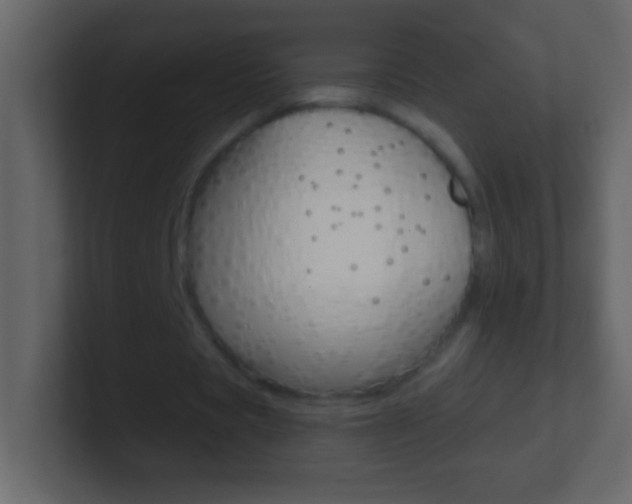X0000101440529200807071028