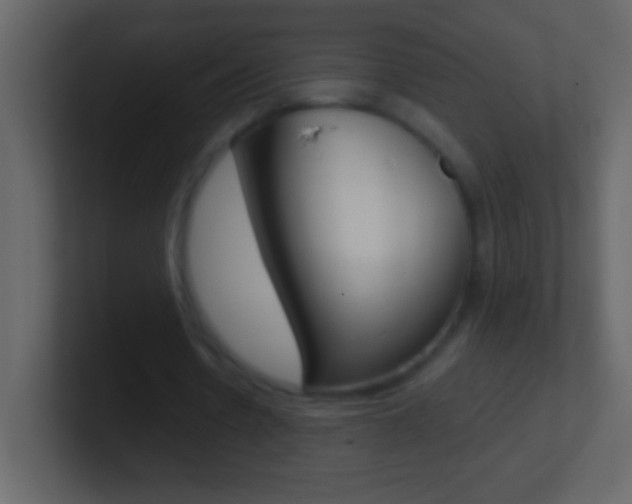 X0000101440530200807071028