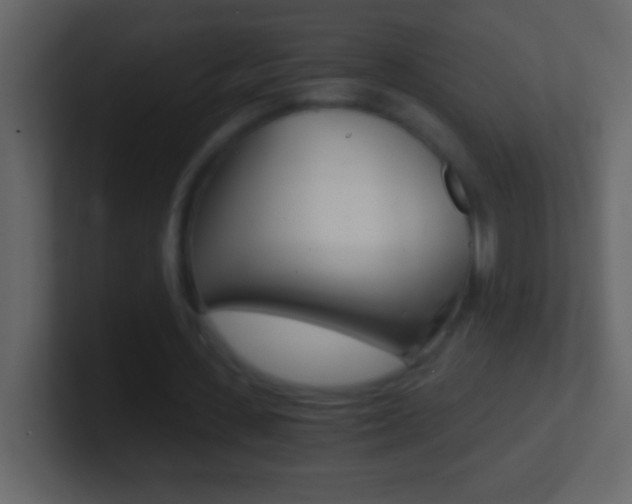 X0000101440531200807071028