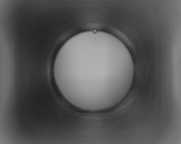 X0000101440538200807071029