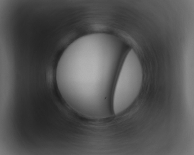 X0000101440542200807071029