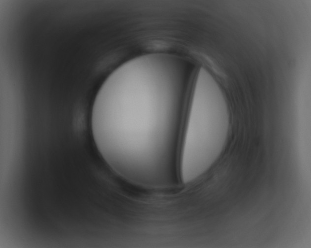 X0000101440543200807071029