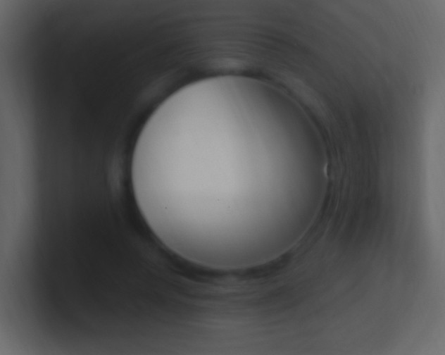 X0000101440544200807071029