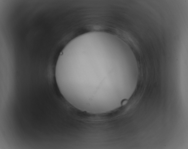 X0000101440545200807071029