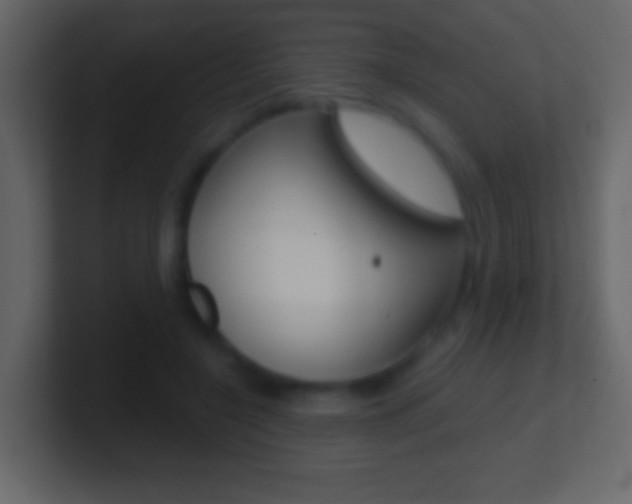 X0000101440548200807071029