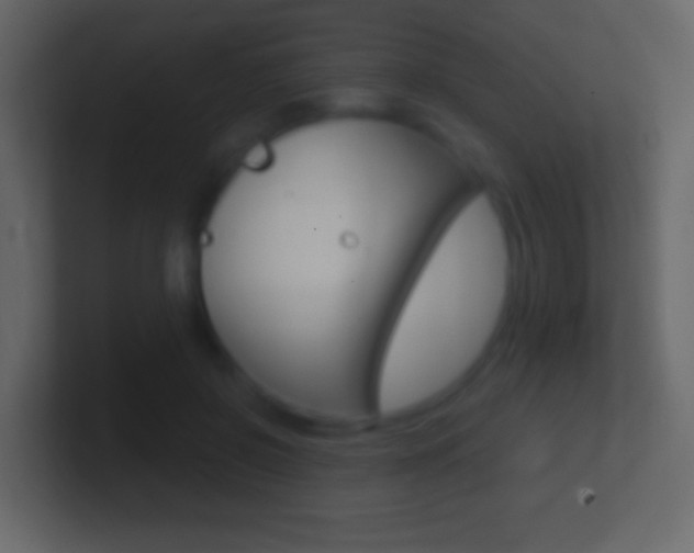 X0000101440550200807071029