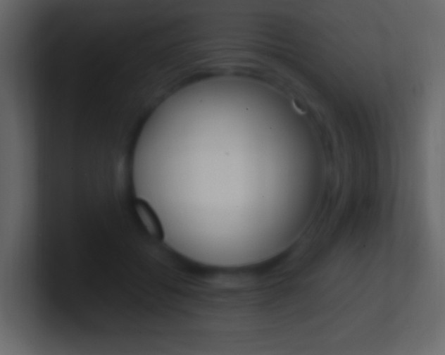 X0000101440556200807071029