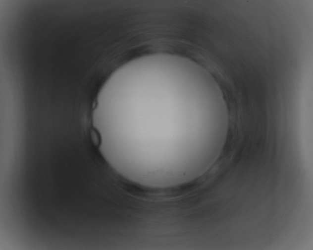 X0000101440561200807071029