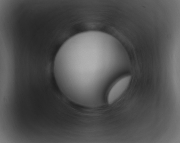 X0000101440563200807071029