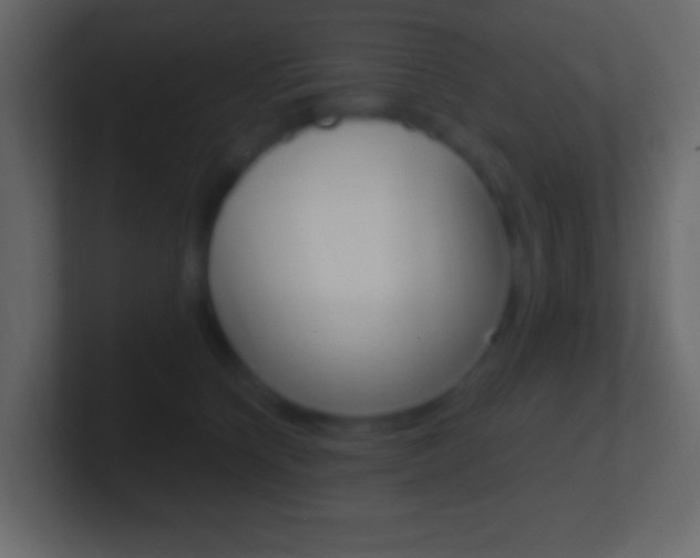 X0000101440564200807071029