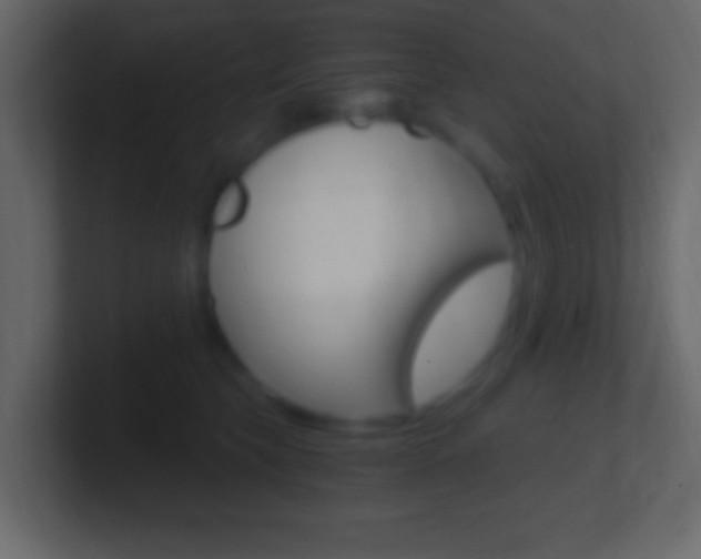 X0000101440565200807071029