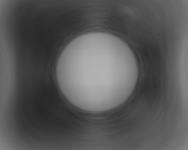X0000101440566200807071029