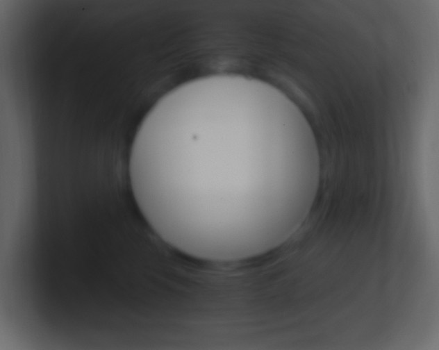 X0000101440569200807071029