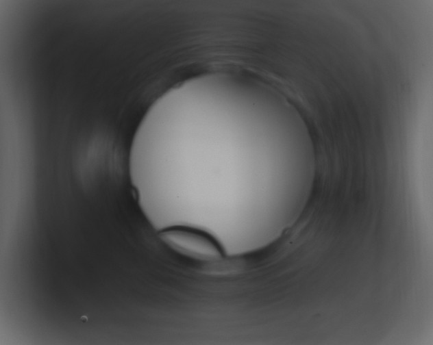 X0000101440571200807071029