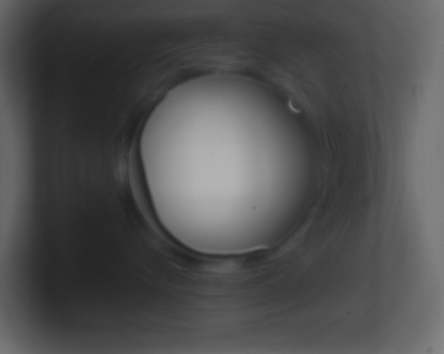 X0000101440576200807071029