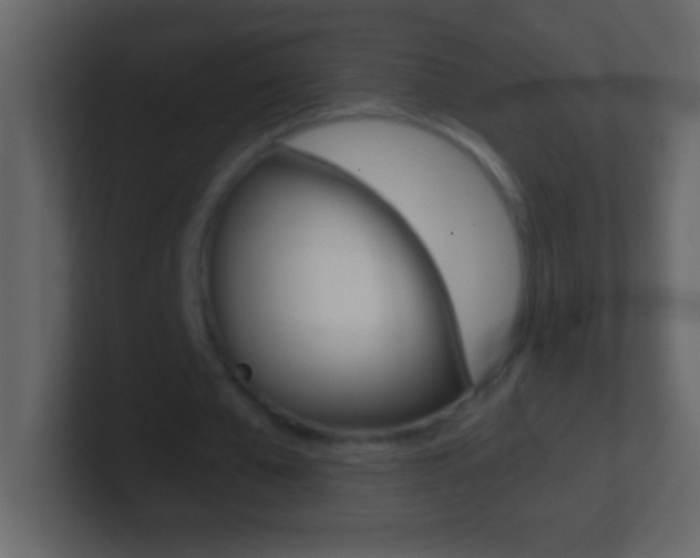 X0000101440577200807071028