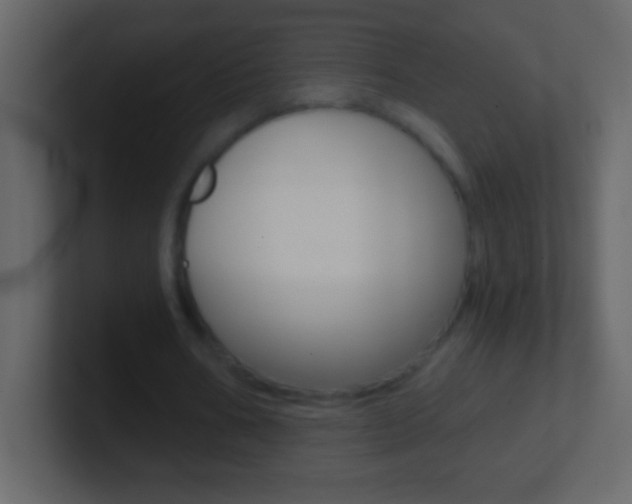X0000101440578200807071028