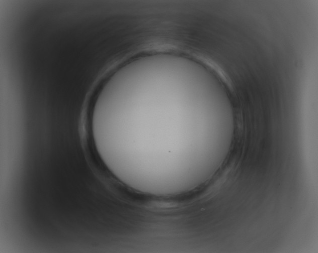 X0000101440582200807071028