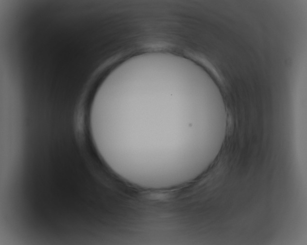 X0000101440583200807071028