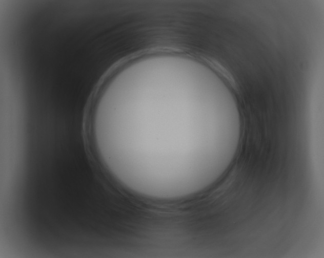 X0000101440584200807071028