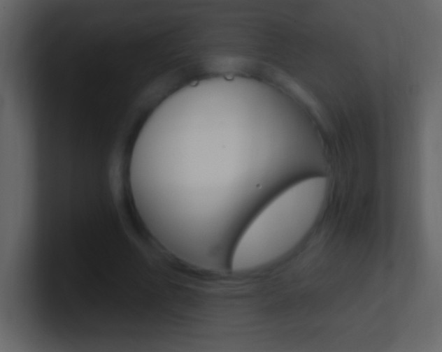 X0000101440586200807071028