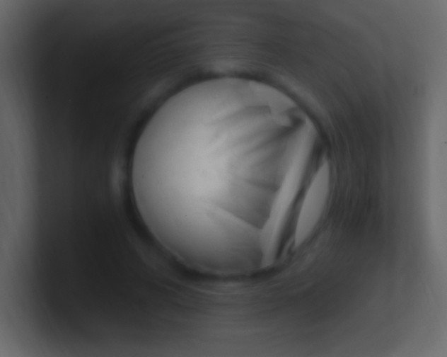 X0000101440592200807071028