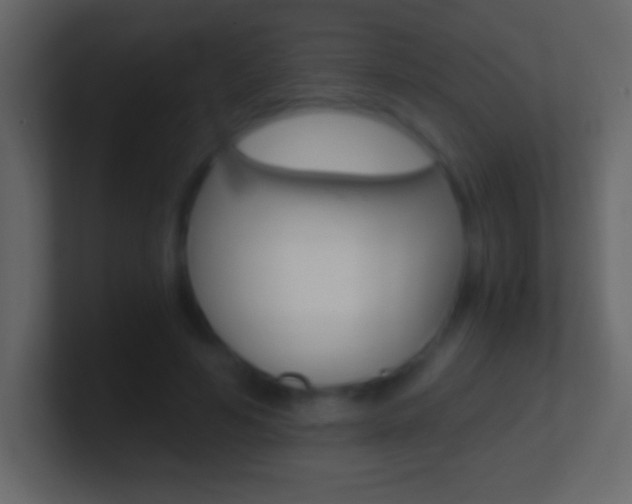 X0000101440594200807071028