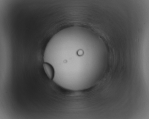 X0000101440609200807071028