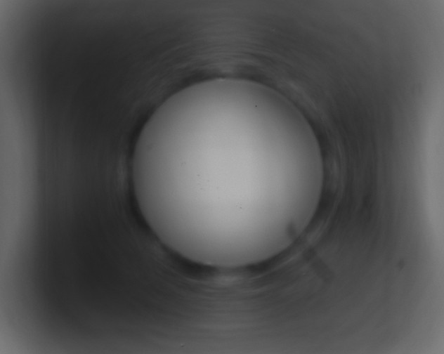 X0000101440612200807071028