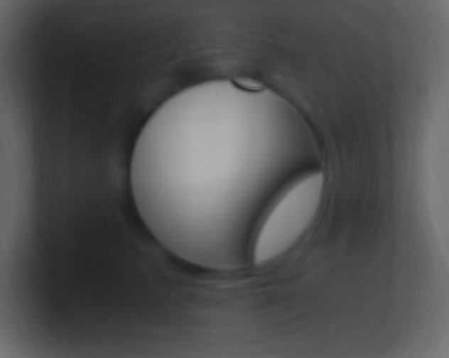 X0000101440615200807071028