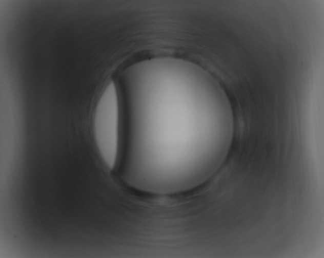 X0000101440616200807071028