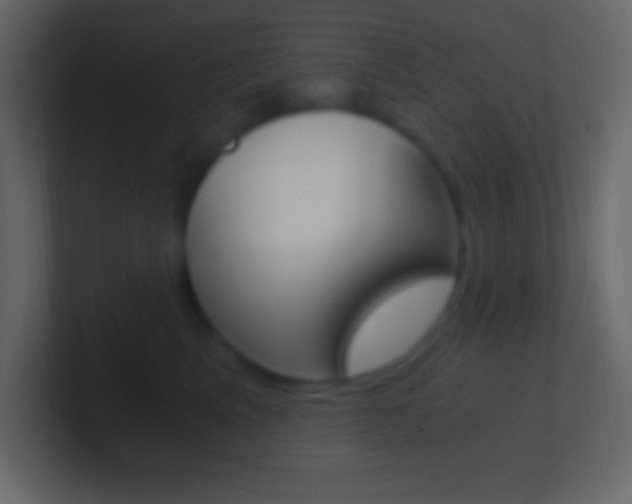 X0000101440617200807071028