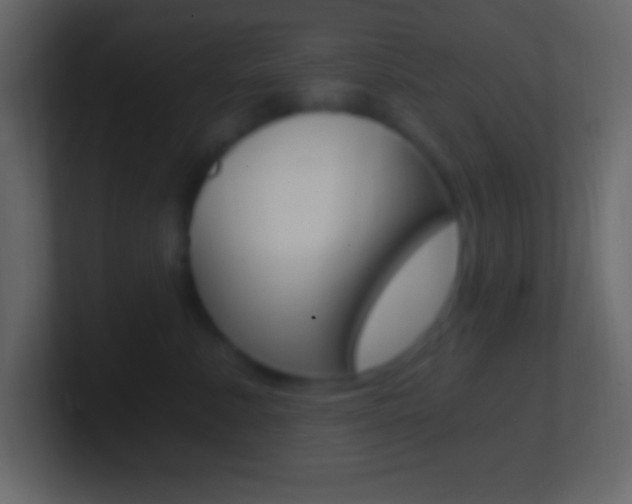 X0000101440619200807071028